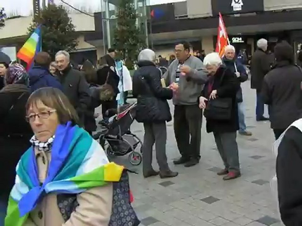Orléans Palestine 3/11