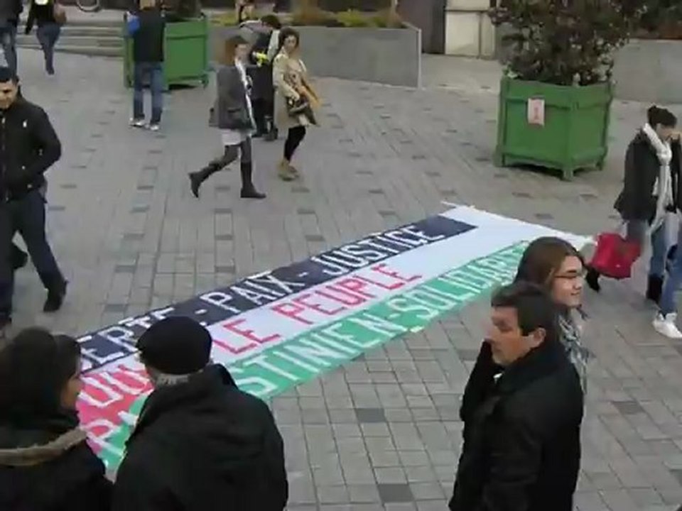 Orléans Palestine 1/11