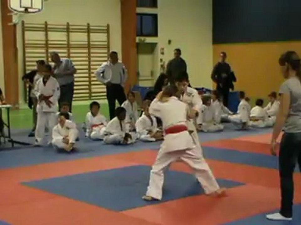Jujitsu Rollin Philippe