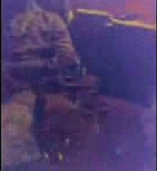 sesligulusler.com  SUSKUN=SİKER..AMINIZA BASACAM