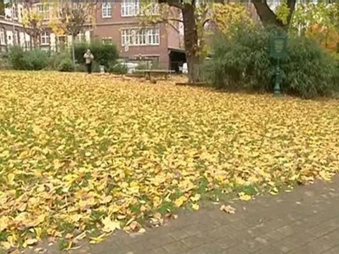 Rouen : que deviennent les feuilles mortes des villes ?