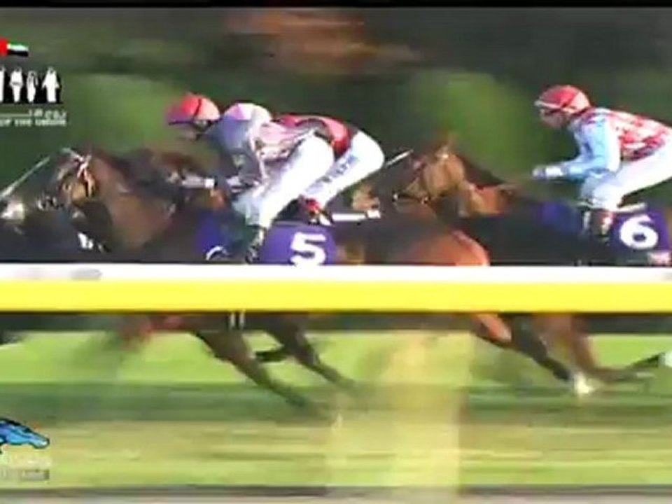 25.11.2012 Tokyo (JPN) 11.Race The Japan Cup 2012 - Group I  2.400 m