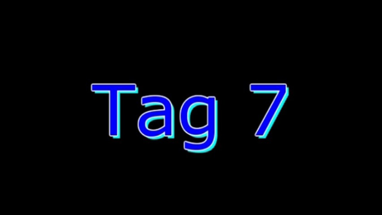 LEGO SW/City Adventskalender (2011) 7-12 HD