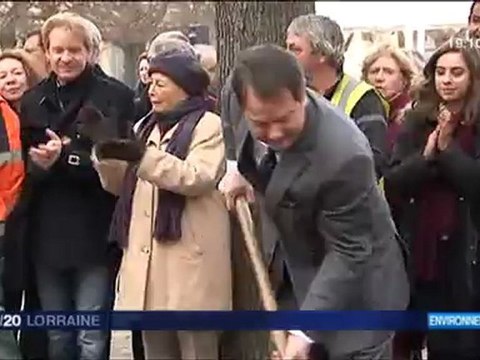 F3L-20121124-soir Tilleuls place d'Alliance