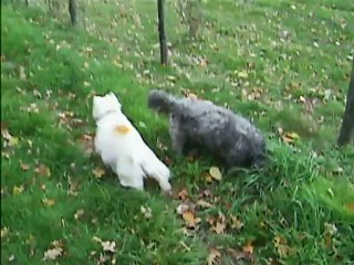 dernière video de la balade du 25 nov 2012