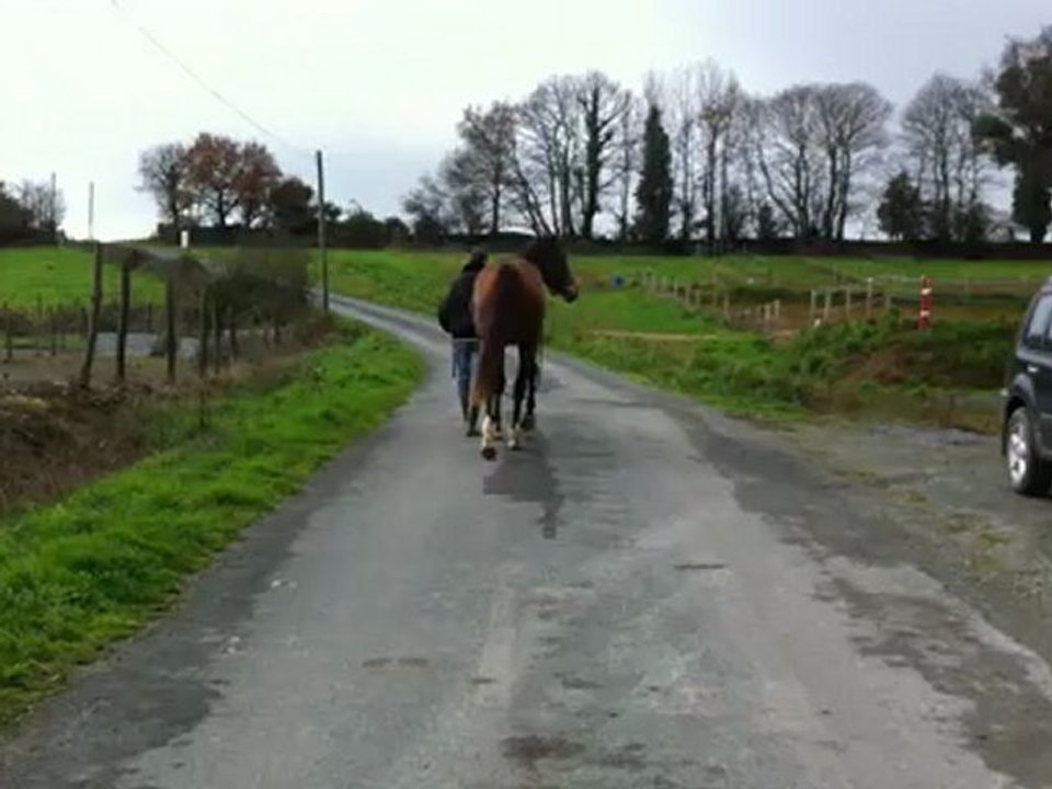 arobase d'ardelay 25/11/12 pas