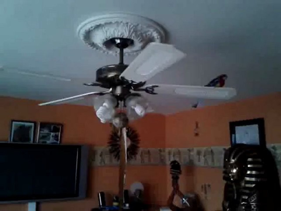 video-2012-11-25-15-34-00