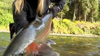 Fliegenfischen mit Todd Moen - Traum der Regenbogenforelle Teil 3/3