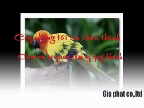 Cty sửa nhà cũ,chống thấm tại quận 3 call 0907 323 053