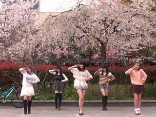 Sakura Chirari (2012 Shinsei Naru Ver.)