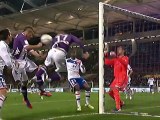 Toulouse FC (TFC) - Olympique Lyonnais (OL) Le résumé du match (14ème journée) - saison 2012/2013