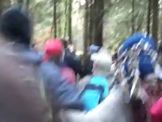 NDDL : Dañs an emgann e koad Rohanne e-tal ar fliked / Danse du combat dans la forêt de Rohanne face aux flics
