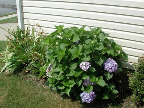 Pressure Washing Charlotte, 704-806-3002