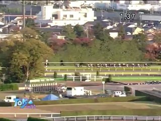 【HD】2012 第32回ジャパンカップ　【ジェンティルドンナ】【岩田康誠】