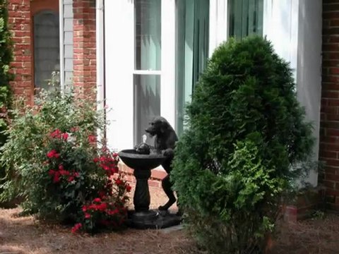 Pressure Washing Charlotte, 704-806-3002