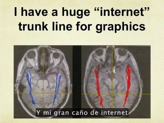 El mundo necesita todo tipo de mentes: Temple Grandin (v.o.s.)