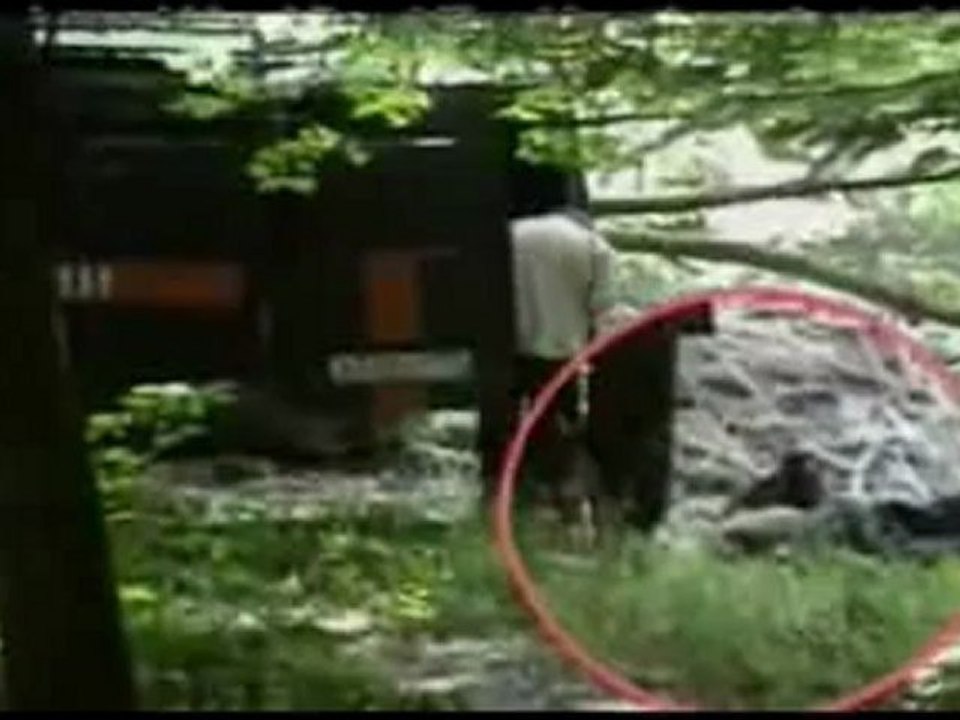 The Chessboard Killer - Documentary - [part 4]