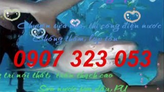 Cty sửa nhà,chống,thấm,giá,rẻ tại quận bình thạnh call 0936 890 585