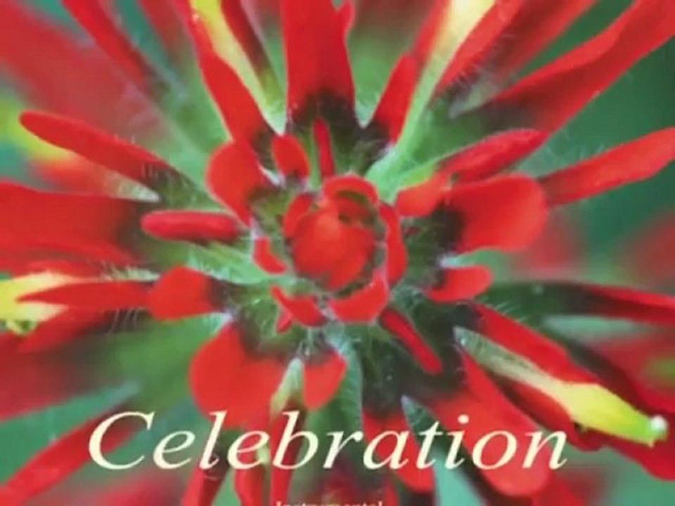 Celebration inspired by Srinivas Arka