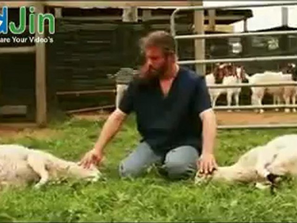 Power and Miracles of Islam - Submission to Allah proven by Animals