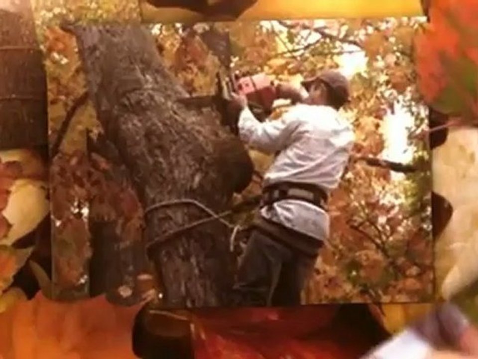Rick Bramble's Tree Services - (302) 736-3362