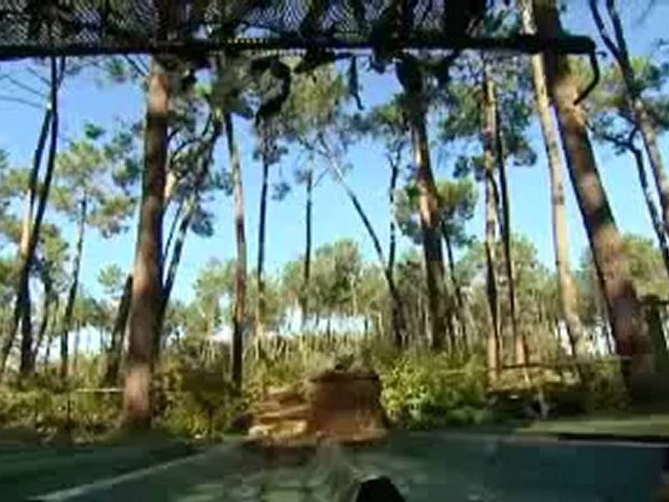 Atmosphères en palombières