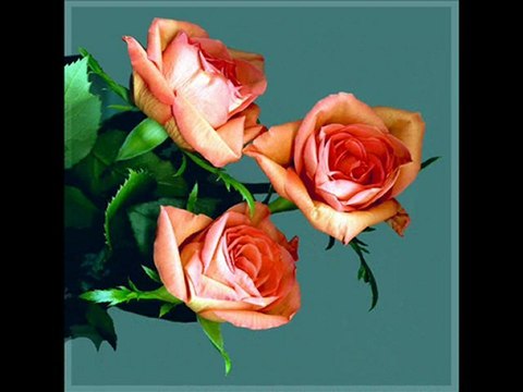 SesliPatnos.Com Sesli Chat ile Karşınızdakilerle Sesli ve Görüntülü Sohbet Edebilirsiniz. Sesli Sohbet İçin Tıklayınız!