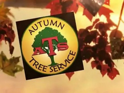 Autumn Tree Service - (417) 231-3252