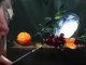 Time Lapse Demo of Orange, Bowl and Grapes by artist Daniel Edmondson