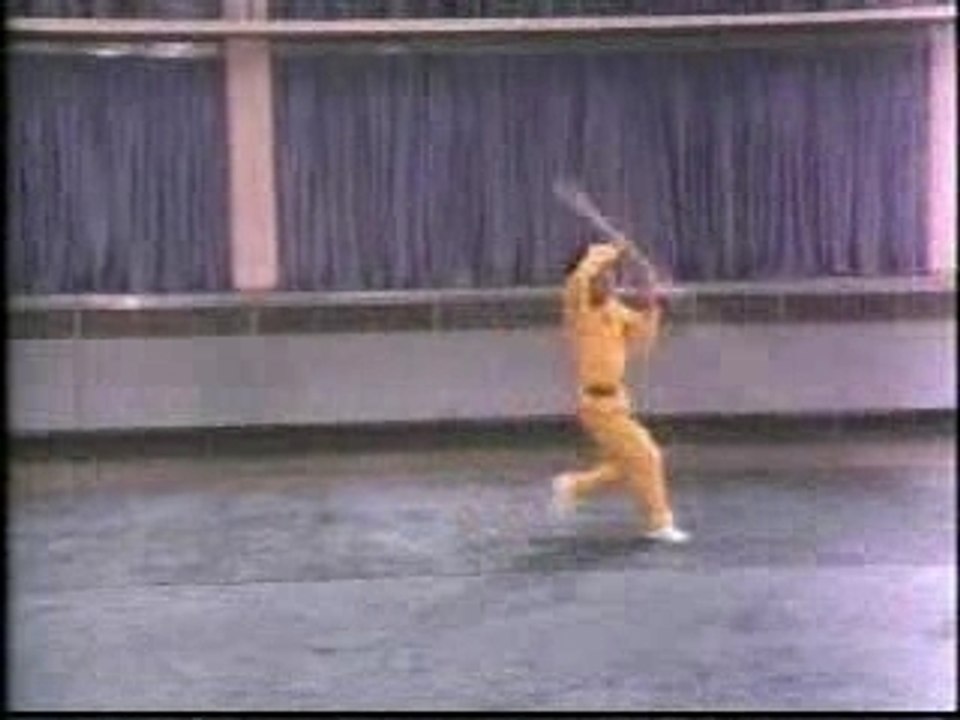 Kung fu du singe