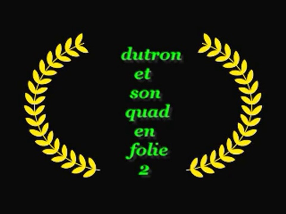 elrico et son quad 200 blaster 2006 edition limited en folie 2