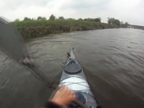 Sauvetage d'un mouton en kayak