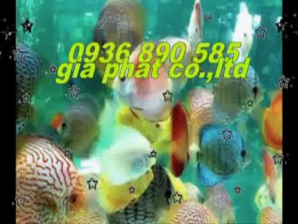 Cty sửa nhà,chống,thấm,giá,rẻ tại quận gò vấp call 0936 890 585