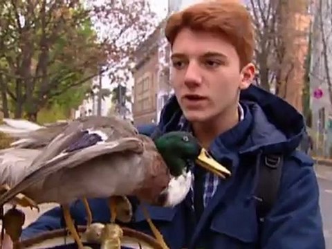 يوروماكس: الحياة والمجتمع في أوروبا | يوروماكس