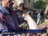 Ataque mata 10 crianças na Síria