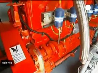 Cerdos productores de energía verde