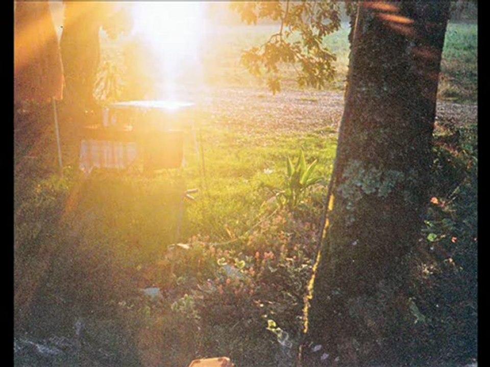 caresse d'amour h.pan vidéo