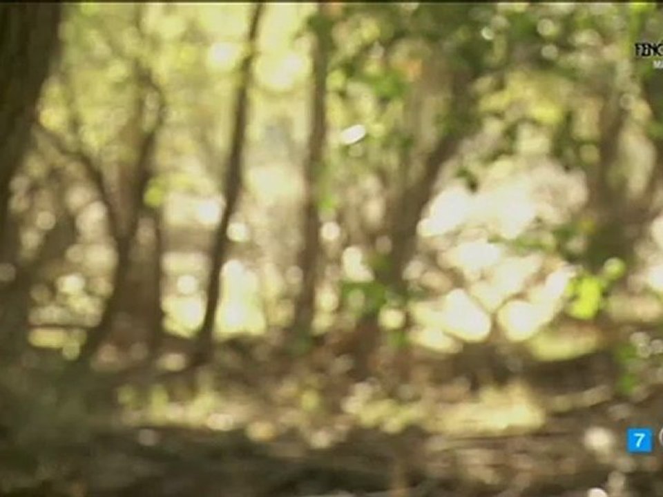 MARTIN D.ANSELMO TENDRE QUE ACEPTARLO AUNQUE NO ME GUSTE ESDPV 26-11-2012