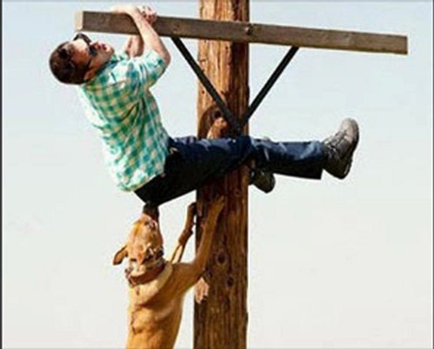 Jackass 3D  online watch www.hdmoviespool.com