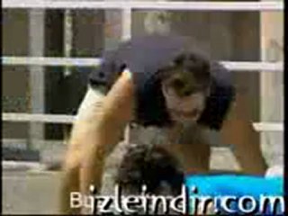 Www.sesliderdim.com sesliderdim sesliderdim.net sessliderDim.biz Sohbet Paneli Chat Merkezi