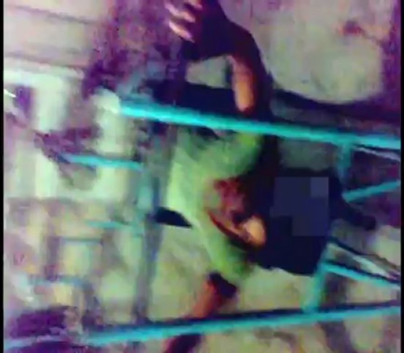 12012008064