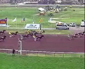 Recif der Mad Borely