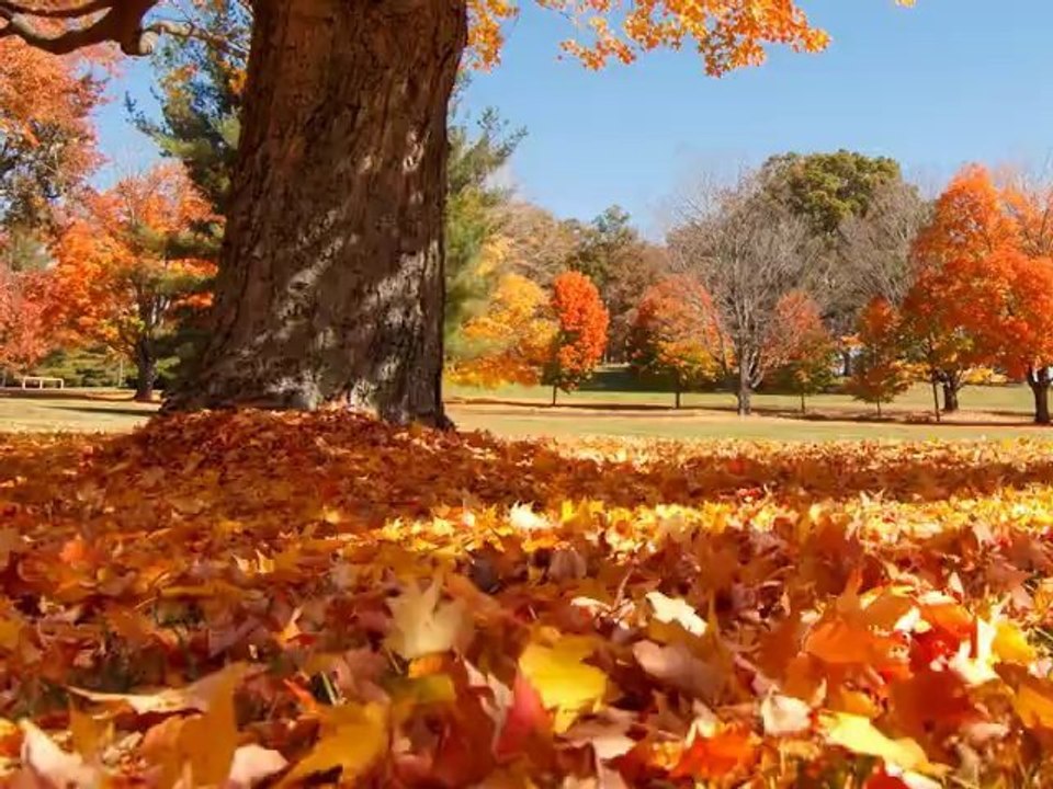 Scenic Time Lapse: Fall Foliage & Incredible Mountain Views - Asheville, North Carolina
