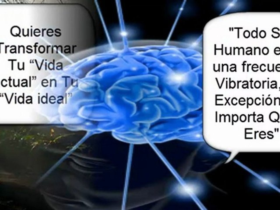 reprogramacion mental - el poder mental - sensei diego labrousse