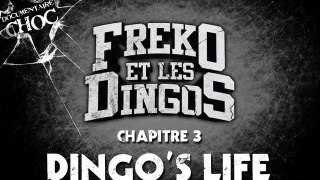 chapitre 3 : dingo's life partie 4/4 ( documentaire : fréko et les dingos )