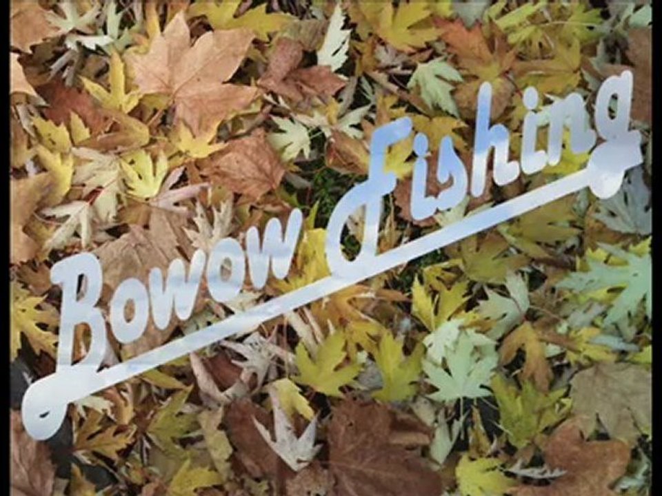 Peche de la carpe en Automne 2012