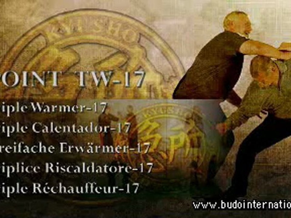 Kyusho Jitsu. Kyusho Top 10 points