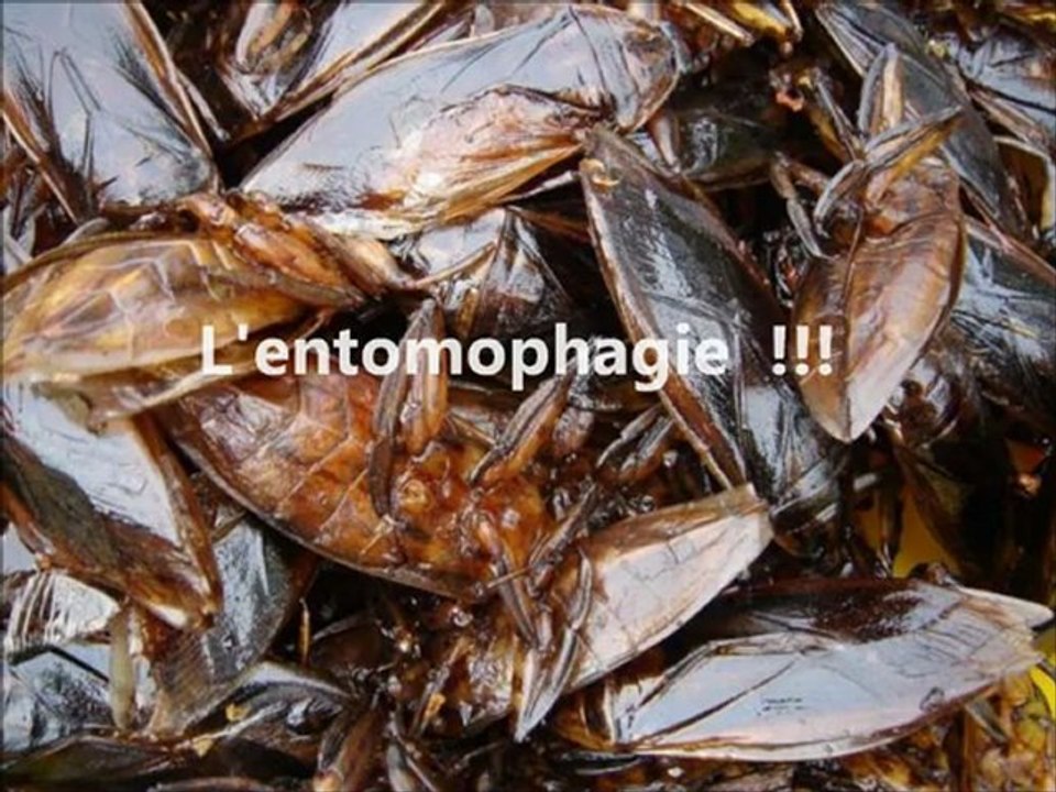 défi n°1