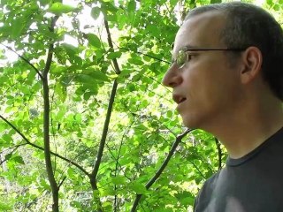 Inspiring Christian Movies – Watch & Be Moved 🎬