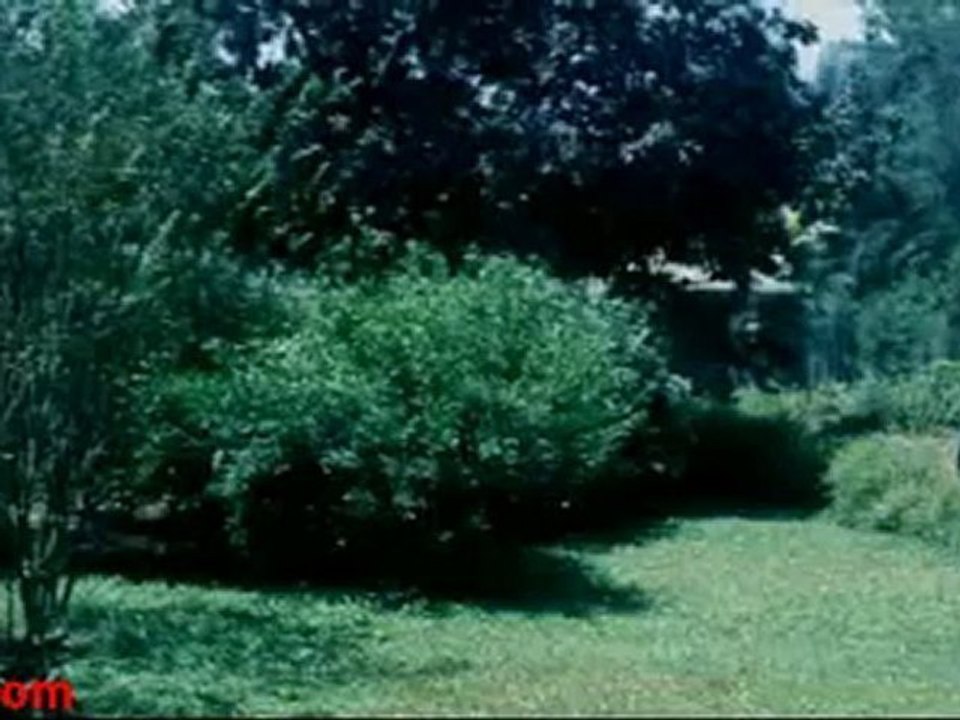 Jimmy 2008_clip1